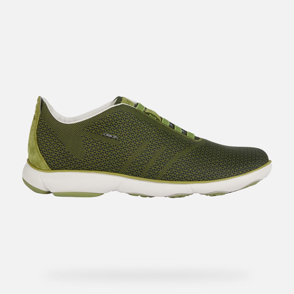 Basket Geox Nebula - Vert Olive - Homme 014397-MKP